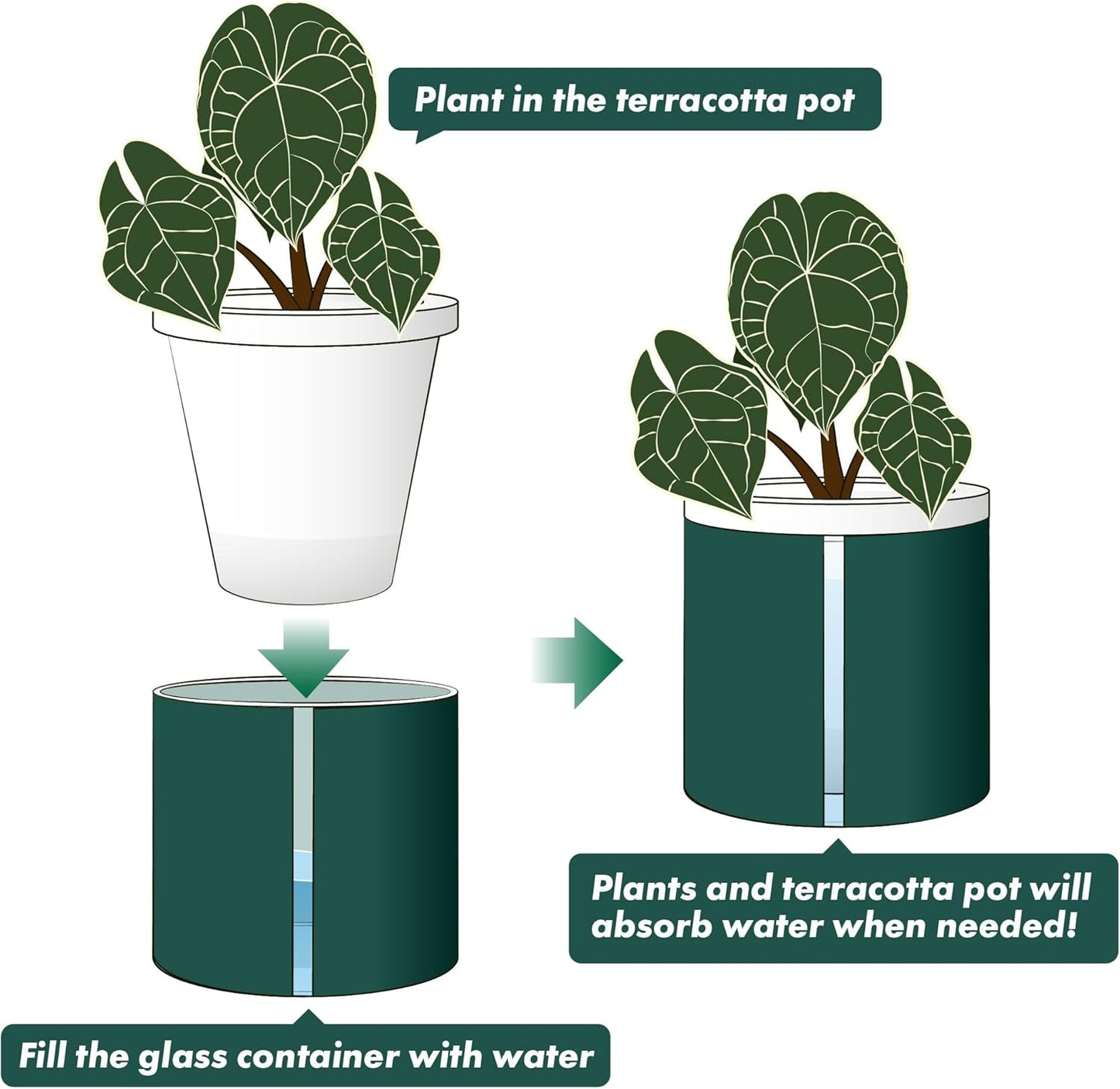 D'vine Dev 6 Inch Design Self Watering Planter for Indoor Plants, White Terracotta Pot with Teal Cylinder Glass Cup, Set of 2, 37-Y-B-5