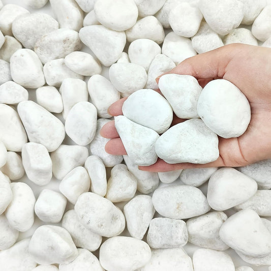 5 lbs White River Rocks for Plants, 1-2 Inch Pebbles for Indoor Plants, Decorative Gravel Stones for Succulent, Cactus, Landscaping, Vases, Aquariums, Crafting and Garden