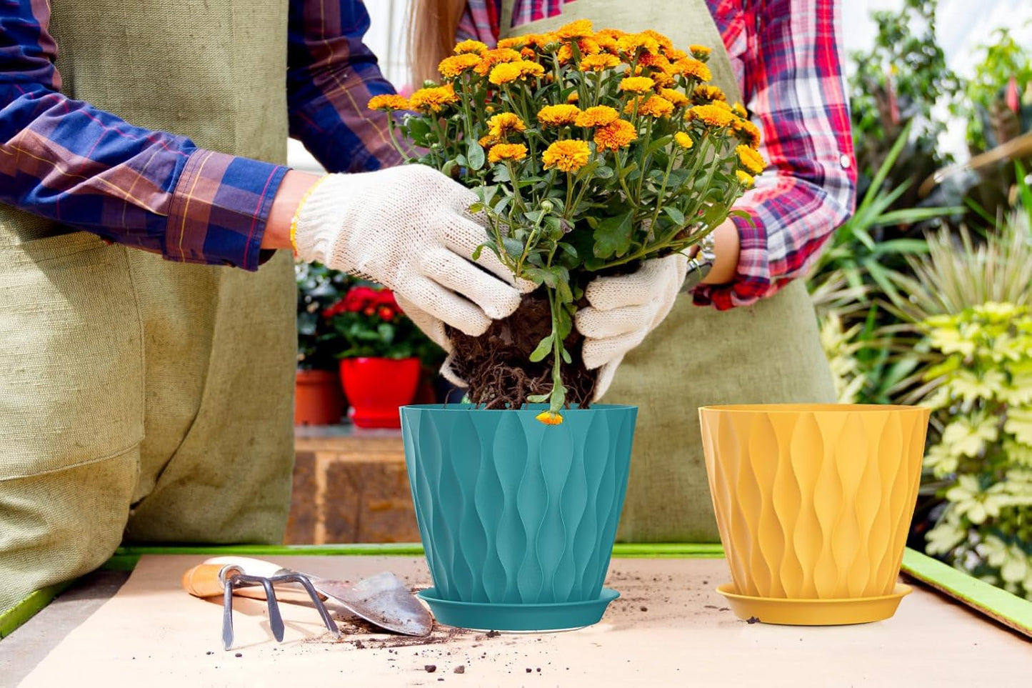 7 Inch Plant Pots 5 Pack, Flower Planters with Drainage Holes and Trays,Plastic Pots for Indoor Outdoor Plants,Multicolor