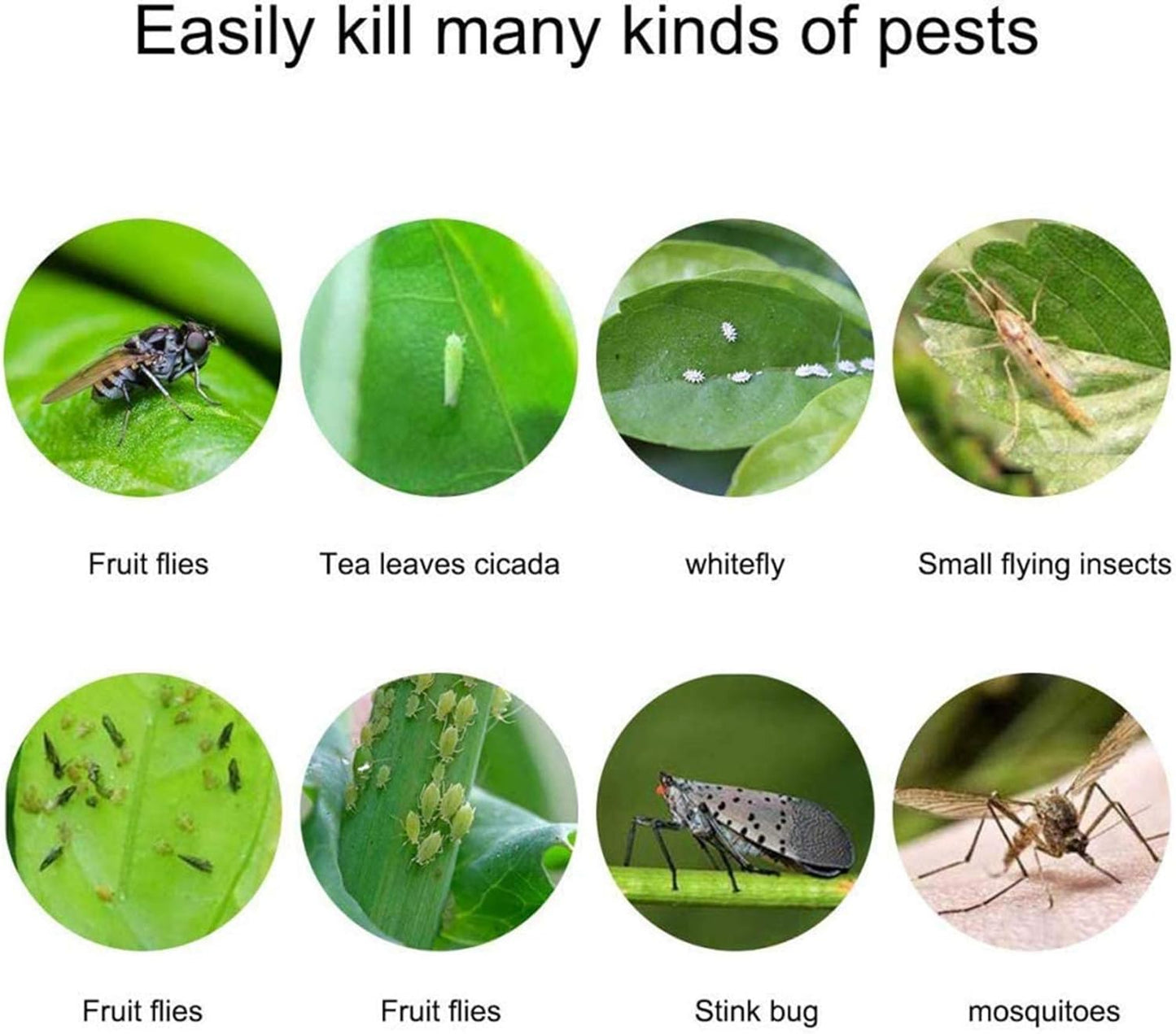 Faicuk 20 Pack Dual Sided Yellow Sticky Traps for Flying Plant Insect Like Fungus Gnats, Aphids, Whiteflies, Leafminers (6x8 Inches, Twist Ties Included)