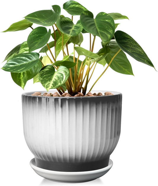 8 Inch Plant Pot, Ceramic Planter with Drainage and Saucer, Ceramic Pots for Plants, Indoor Plant pots,Ceramic Flower pots(Black + White, Plants NOT Included)