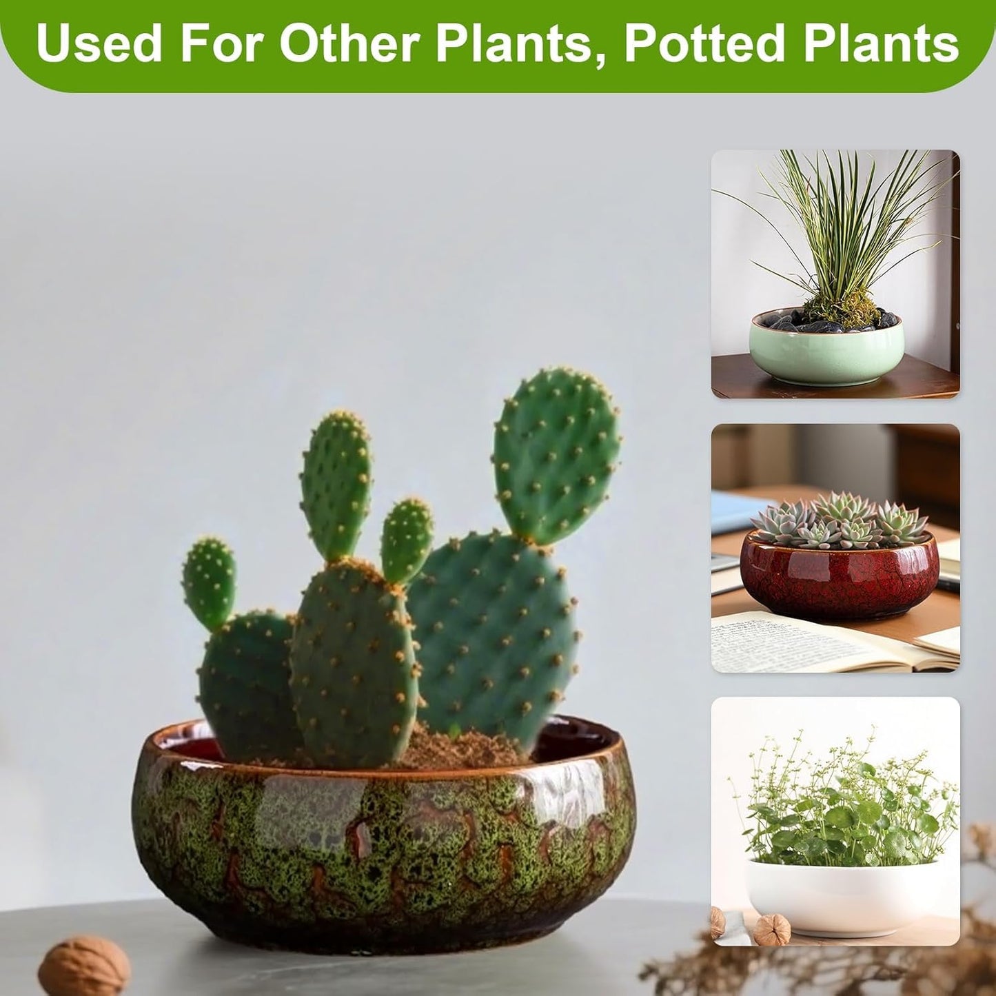 Lotus Bowl Planter, Lotus Bowls for Planting in Water Indoors, Ceramic Planters for Indoor Plants, Thickened Round Planter, for Succulent Plants Leak-Proof Design (Green)