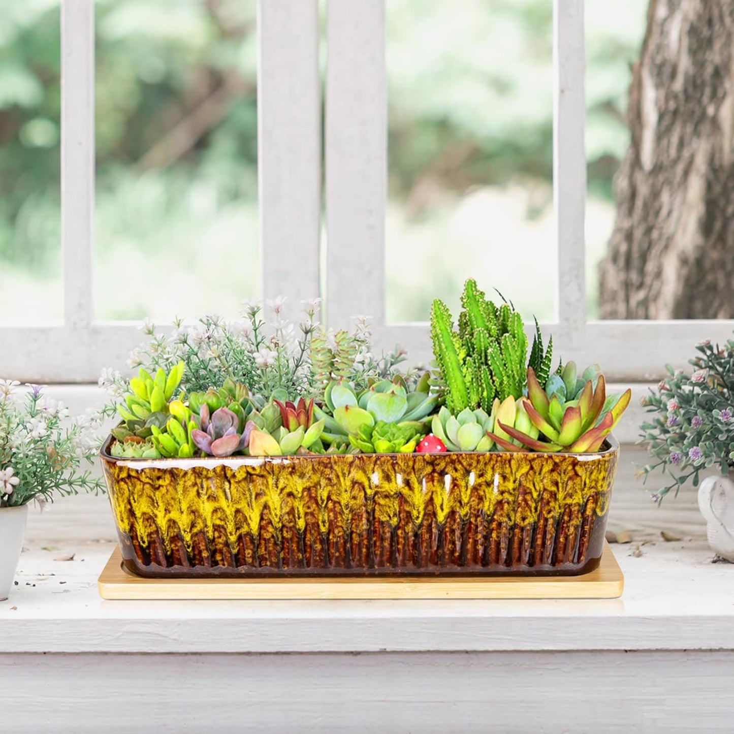 Succulent Pots - 12 Inch Large Succulent Planters with Drainage Tray, Window Sill Planter, Long Rectangle Ceramic Pots for Indoor Cactus Plants Shallow Bonsai Window Box for Home Garden Decor