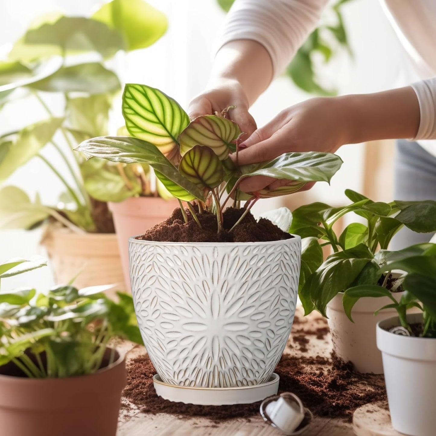 G EPGardening 7 Inch Plant Pot for Indoor Plants Outdoor Round Ceramic Planter Decorative Flower Pot with Drainage Hole and Saucer White