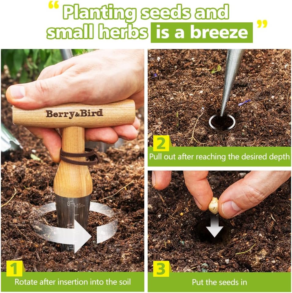 Berry&Bird Hand Dibber – Precision Wood Handle Garden Hole Punch Dibbler Tool for Planting Seeds & Bulbs with 6'' Measuring Scale, Bulb Planter for Planting Flowers Tulips Daffodils Dahlias