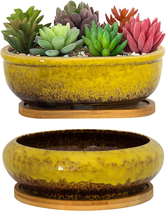 ARTKETTY Succulent Pots, 1 Rectangle Planter + 1 Ceramic Bonsai Pot with Drain Tray, 2 Pack Large Shallow Succulent Planters for Indoor Plants, Round Cactus Flower Plant Pot for Desk Windowsill Decor