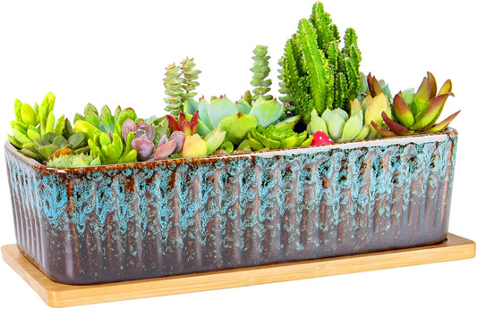 Succulent Pots - 12 Inch Large Succulent Planters with Drainage Tray, Window Sill Planter, Long Rectangle Ceramic Pots for Indoor Cactus Plants Shallow Bonsai Window Box for Home Garden Decor