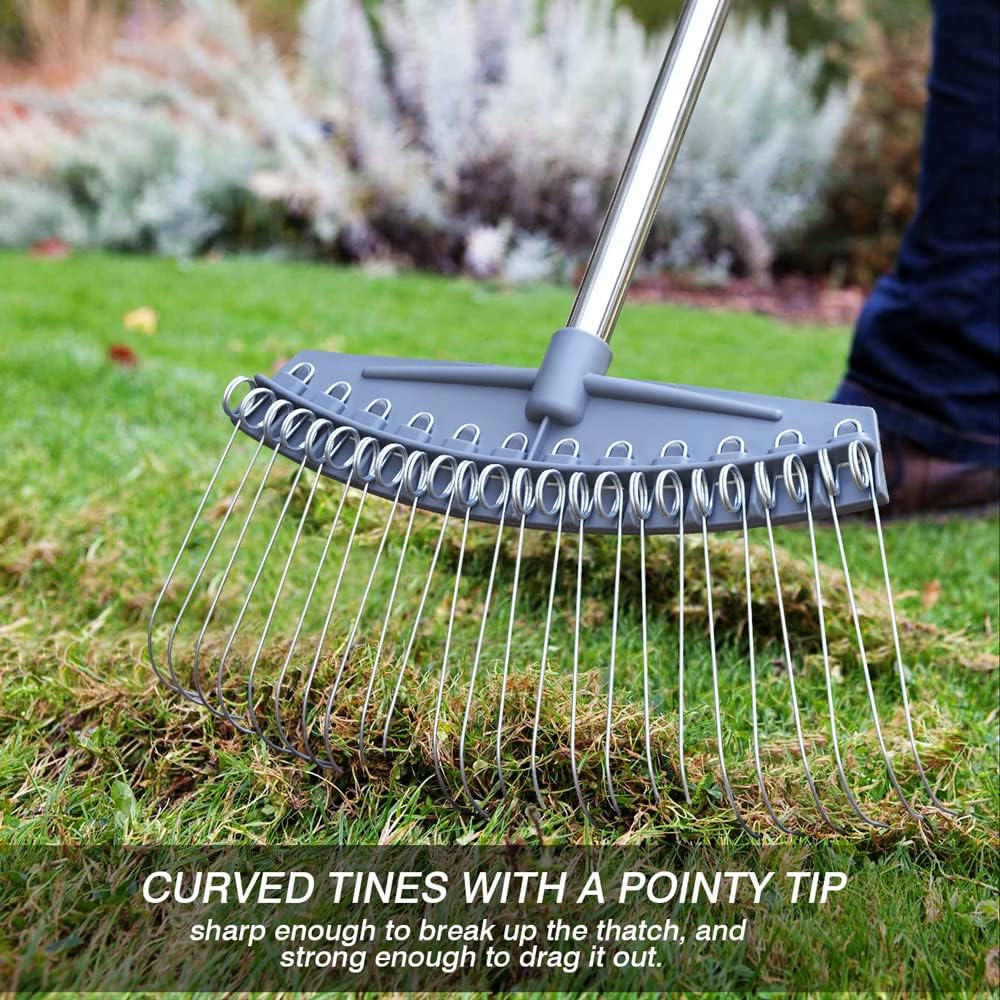 Colwelt Thatch Rake -24 Steel Tines, Dethatching Rakes with 54’’ Lightweight Stainless Steel Handle, Yard Dethatcher Rakes for Lawn(Pine Needles, Dead Grass, Thatch, Leaves, Mulch)