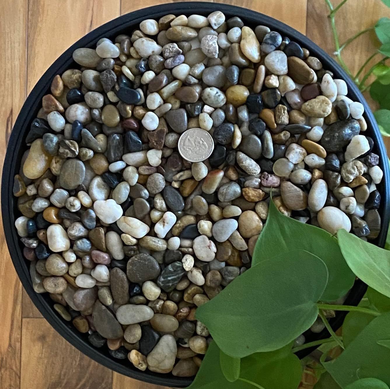 Rocks for Plants. Mixed Colors Decorative Polished Pebbles. 3/8 Inch – 10 lbs for Plants, Garden, Landscaping, Succulents, pots, Plants (XSM (0.375 Inch), Mixed Color - Polished, 10)