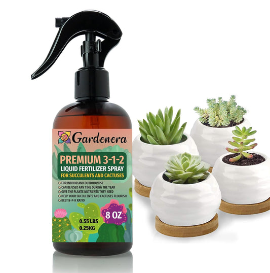 Professional Succulent Spray Fertilizer Mist for Home Gardening | 3-1-2 Gentle Blend Mist for Healthy Leaves & Growth | Essential Nutrients for Succulent and Cacti - 8oz