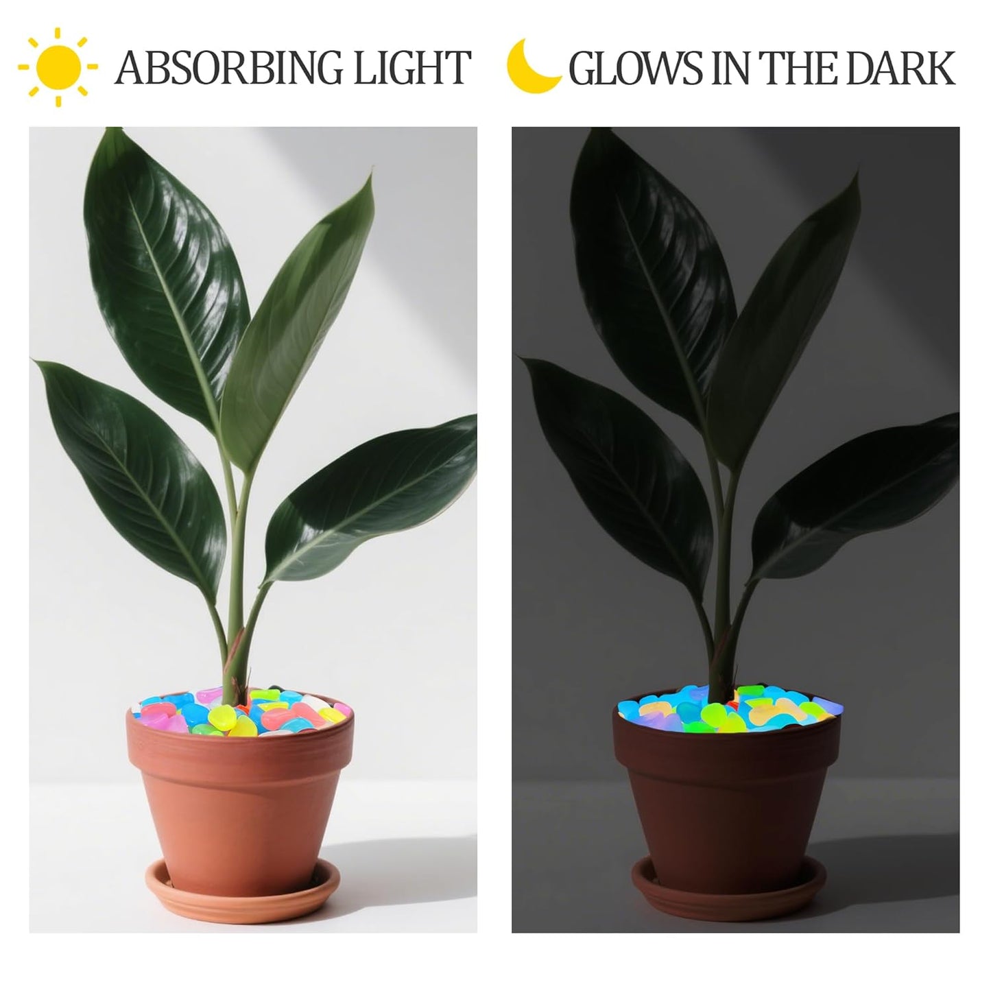 3.5LB 25-27mm Glowing Rocks Luminous Pebbles Glow in The Dark Rocks Luminous Stones for Driveway Walkway Potted Plants Fish Tank