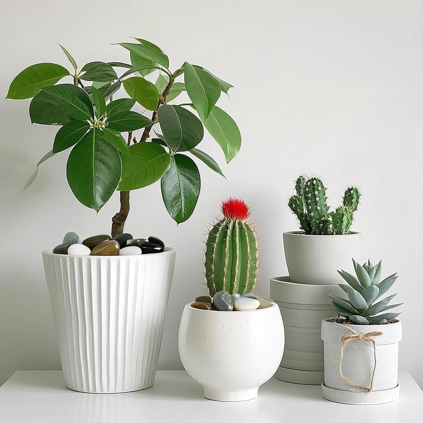 Pebbles for Indoor Plants, 5lbs Colorful Pebbles 0.5-1.2 Inch Decorative River Rocks for Planters, High Polished Stones for Vase Filler Fish Tank Landscaping Garden