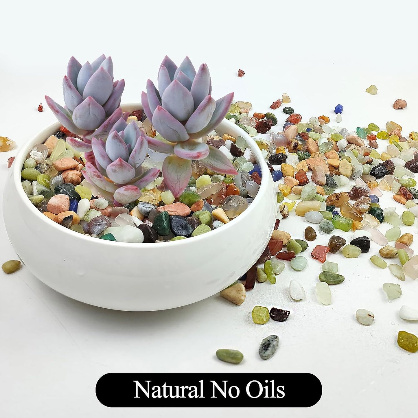 10LB Colorful Pebbles for Succulent, 3/8 Inch Natural River Rocks for Plants, Natural Decorative Polished Pebbles for Cactus,Vases, Planters,Outdoor Gardening and Indoor Plants