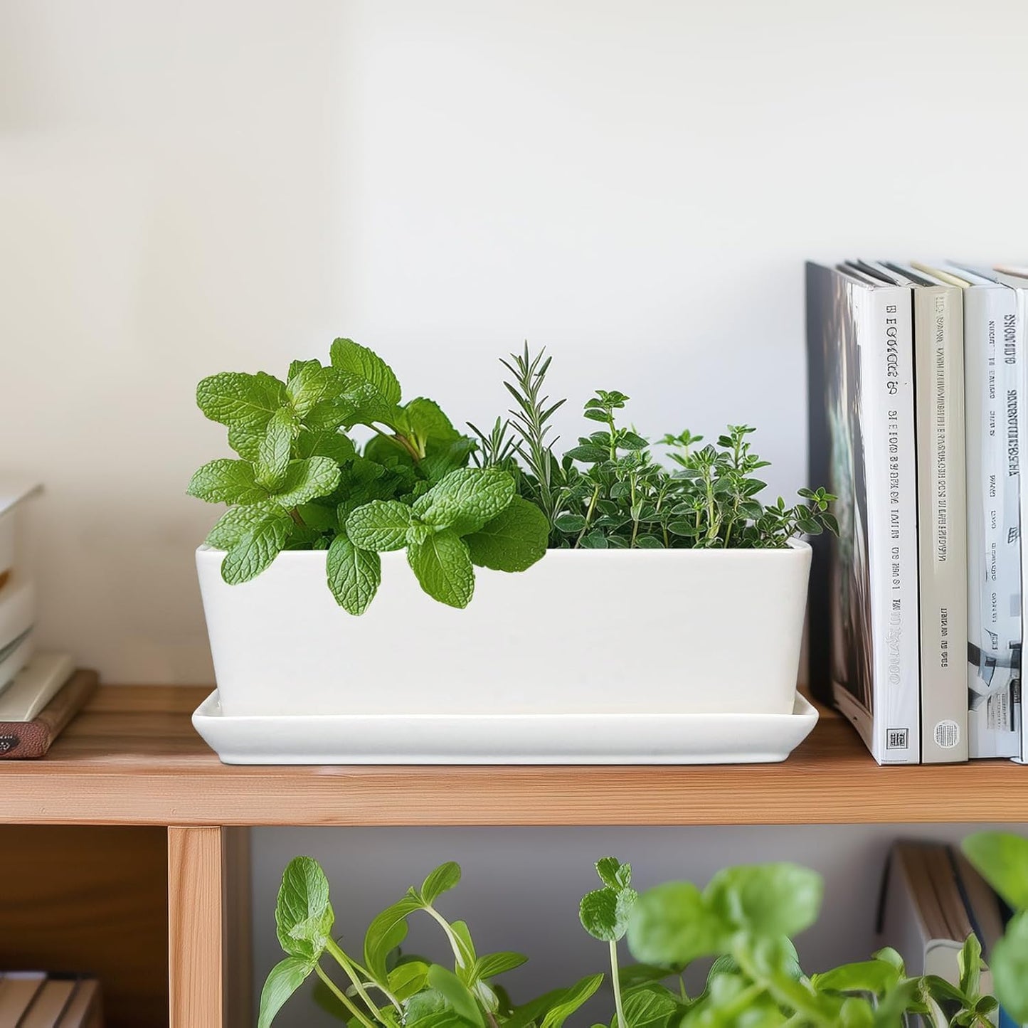 SQOWL Rectangular Planter - 10 Inch Ceramic Pots for Plants with Drainage Hole and Saucer, Succulent Pots for Indoor Outdoor, Cactus Herb Flower Planter, Home Decor, Gifts for Plant Lovers, White