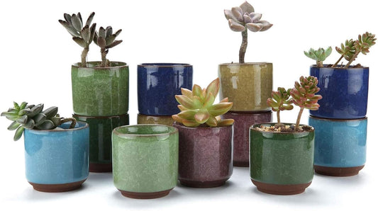 T4U 2.5 Inch Small Ceramic Succulent Planter Pot with Drainage Hole Set of 12, Ice Crack Glaze Plant Container for Cactus, Plant Lover Gifts for Women Mom Coworker Home Office Decor