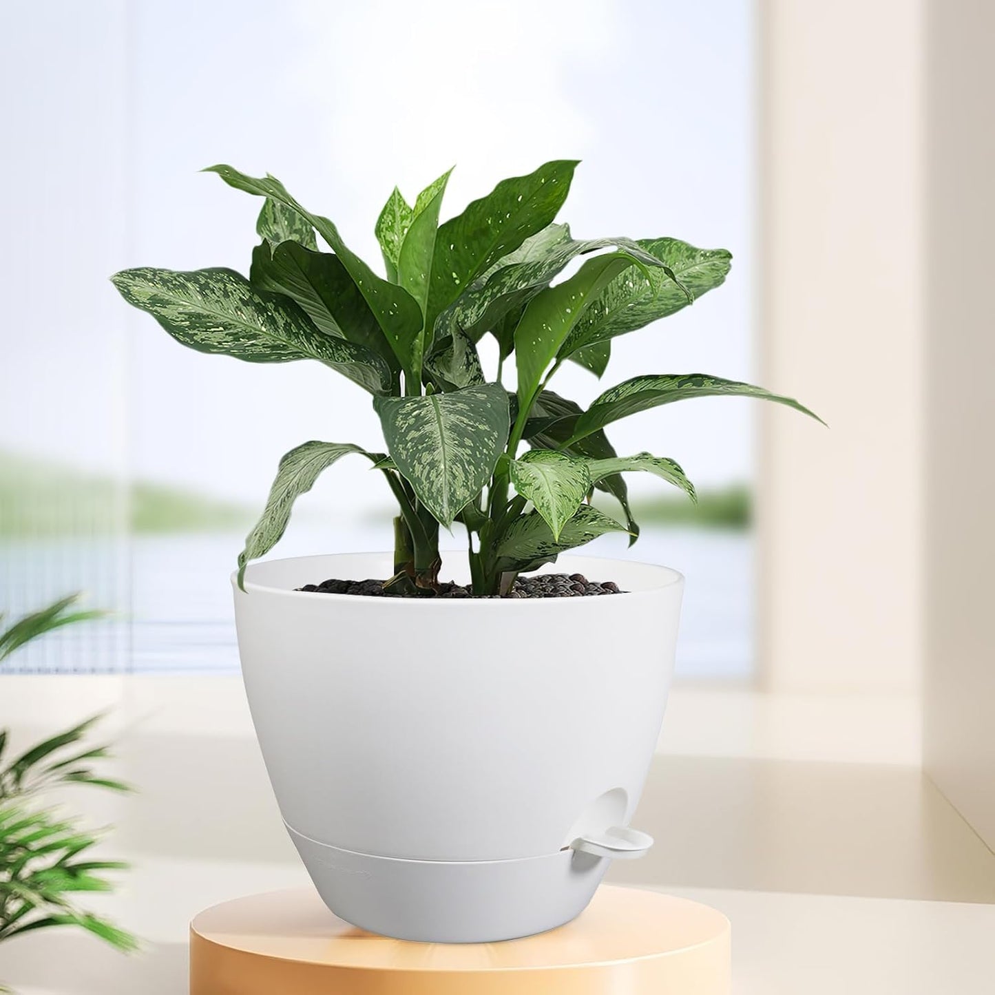 12 inch Large Self Watering Pots for Indoor Outdoor Plants, Plant Pots with Mesh Drainage Holes for Garden House Plants, Plastic Planters with Reservoir for Flower Plants, White