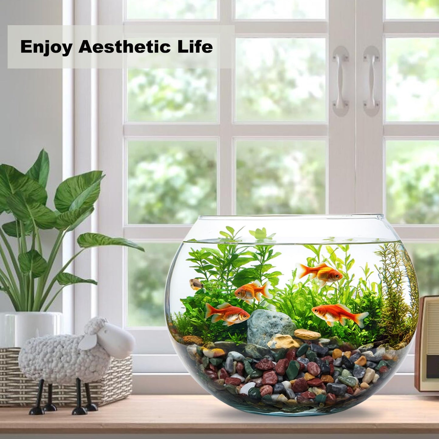 45LB Succulents Rocks for Plants Cactus Gravel Pebbles for Fish Tank 1/2 Inch Natural River Rocks for Vase, Aquarium, Landscaping,Bonsai,Terrarium Pebbles, Mixed Color