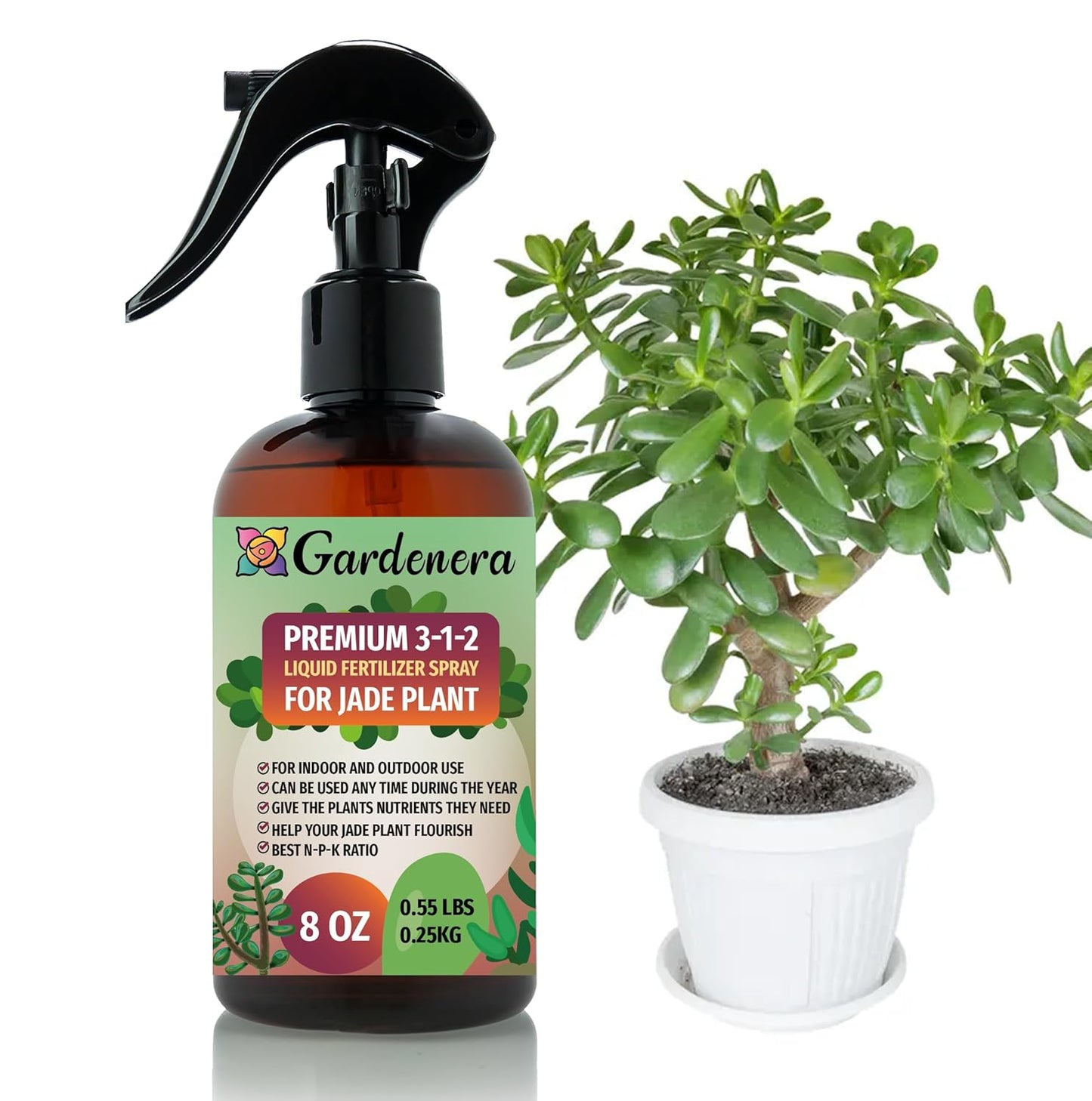 Proffesional Jade Plant Spray Fertilizer Mist for Home Gardening | 3-1-2 Gentle Blend Mist for Healthy Leaves & Growth | Essential Nutrients for Jade Plants - 8oz