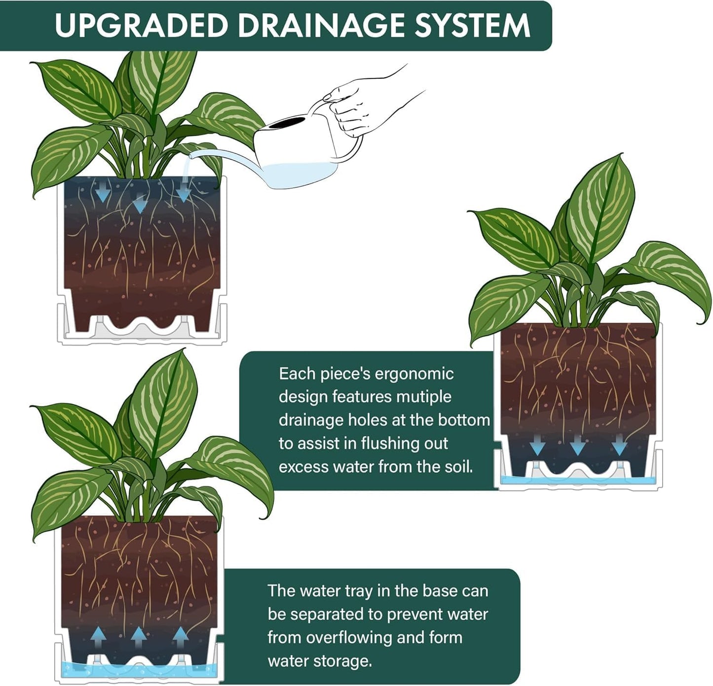 Phoenix Vine 8 Inch Planter Pot with Drainage Hole & Saucer, Deep Water Catch Tray, Straight Cylindrical Round Pot for Plants, Matte White, Pack of 2, 23-B-T-2