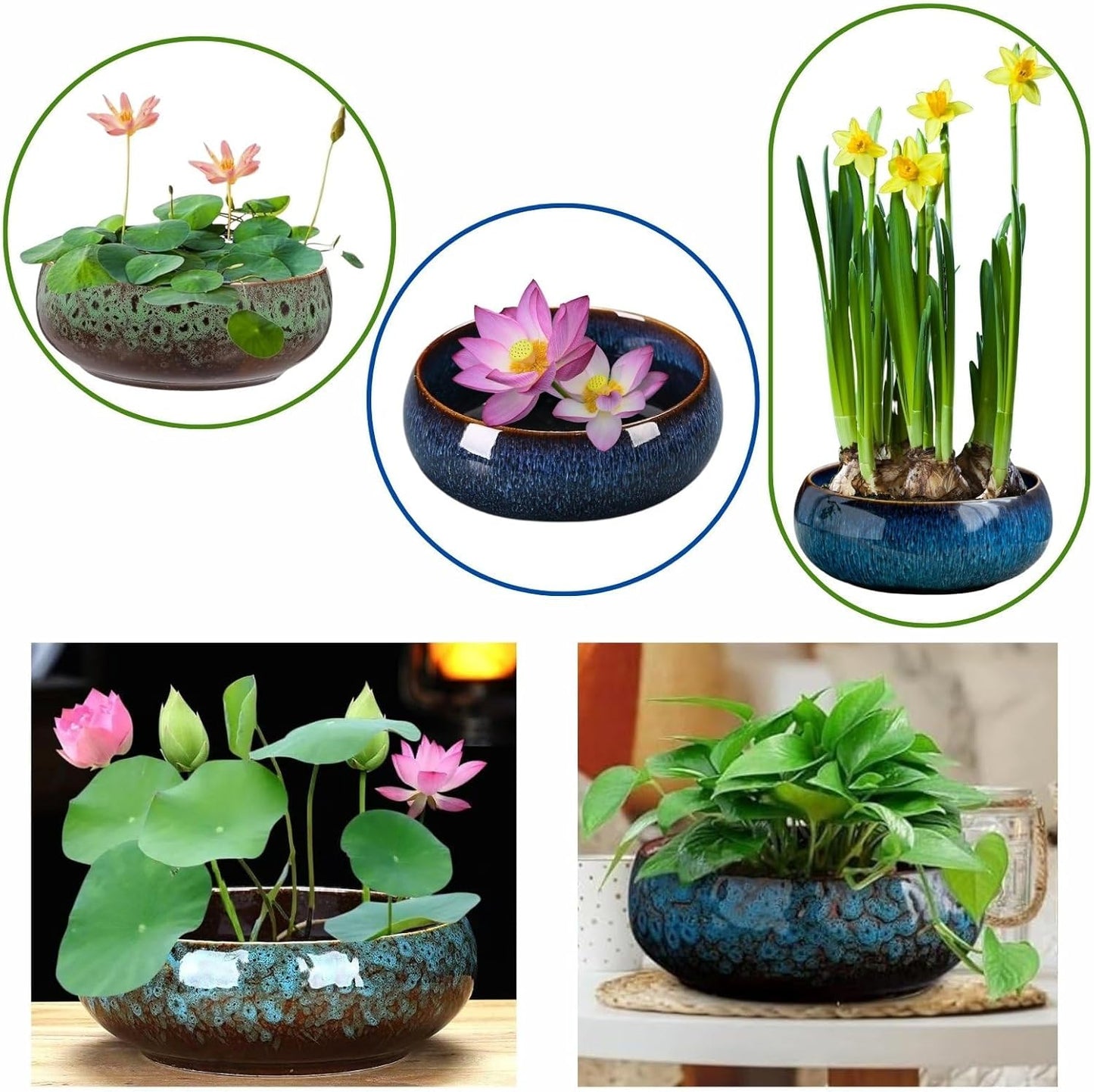 Lotus Bowl Planter, Lotus Bowls for Planting in Water Indoors, Ceramic Planters for Indoor Plants, Thickened Round Planter, for Succulent Plants Leak-Proof Design (Blue)