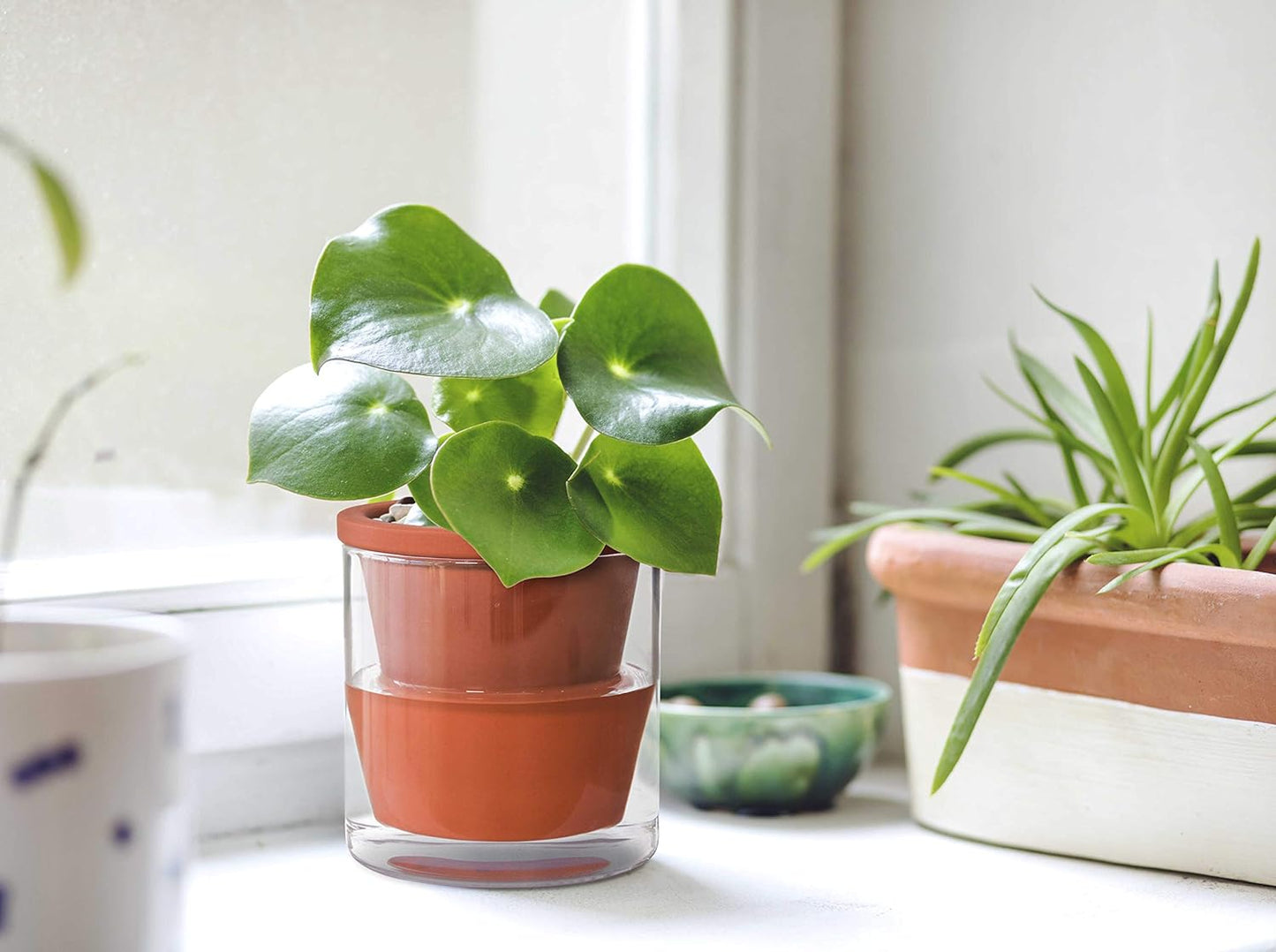 D'vine Dev 4 Inch Design Self Watering Pot for Indoor Plants, Terracotta Planter with Cylinder Glass Cup, Set of 2, 37-Y-A-1