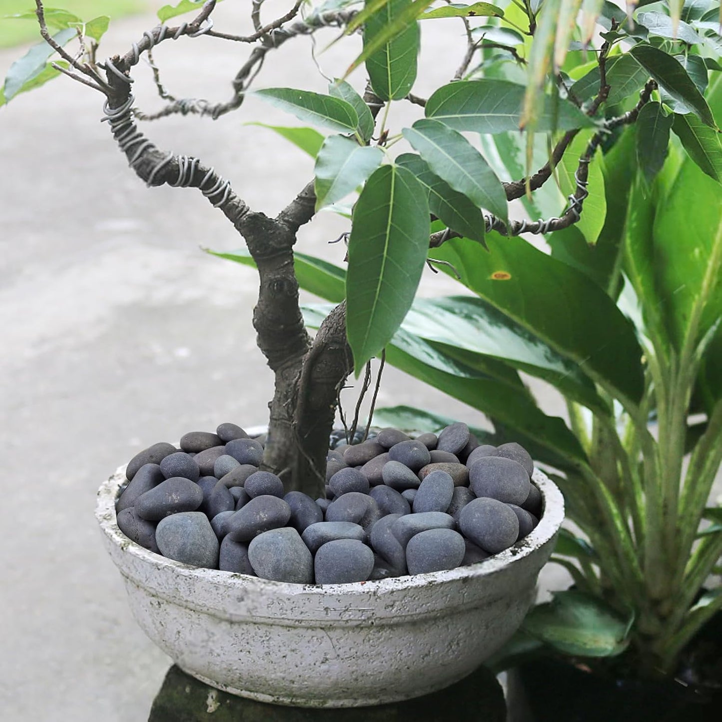 Black River Rocks for Landscaping, 2-3 Inch Natural River Rocks for Garden Beds, Potted Plants, Fish Tanks, DIY Pathway and Backyard Accent, Stones for Crafts, Walkways(40lbs Bulk)