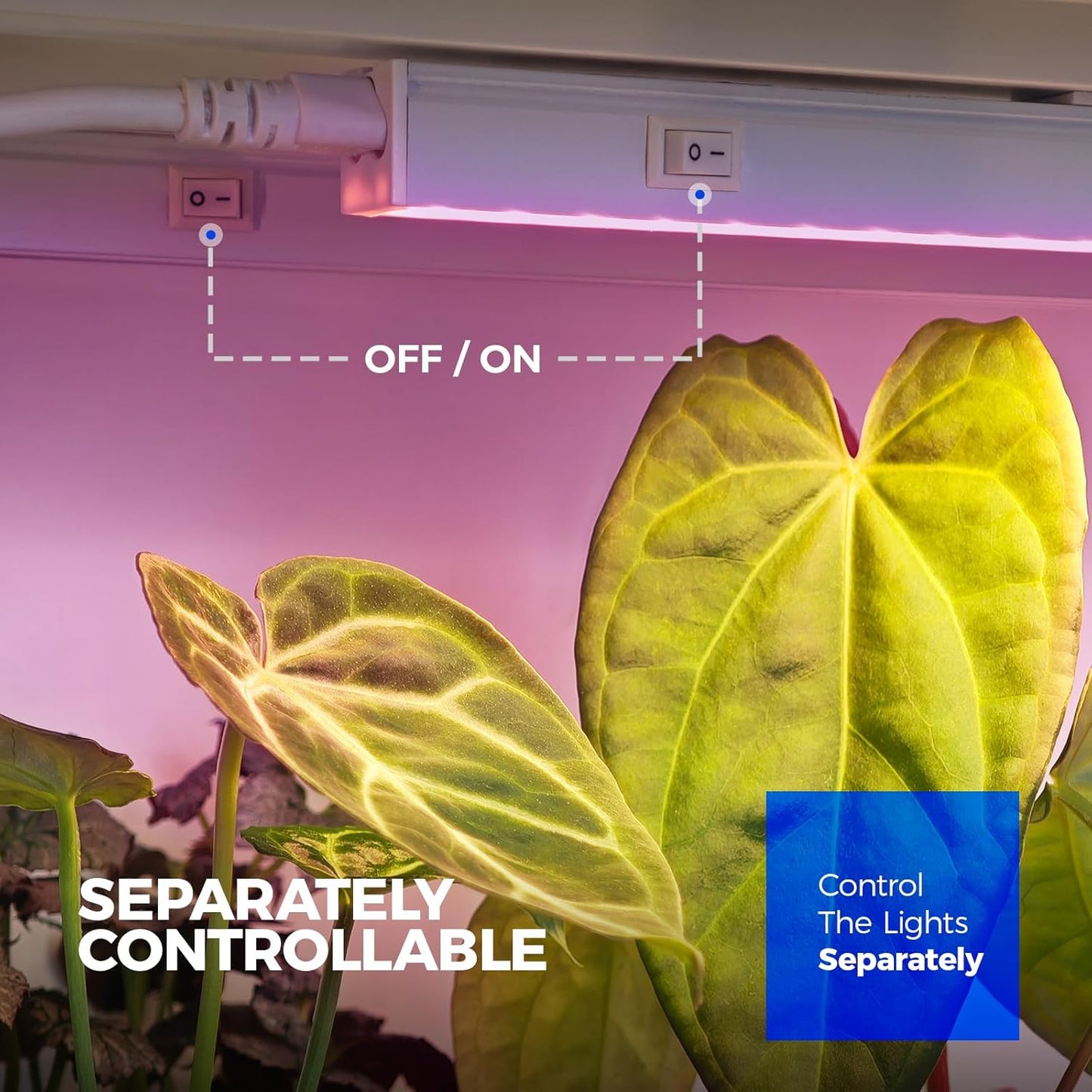 Barrina Grow Lights for Indoor Plants, Full Spectrum, 4ft 160W (8 x 20W), LED Grow Light Strip for Seed Starting, Greenhouse, Plug and Play, 8-Pack