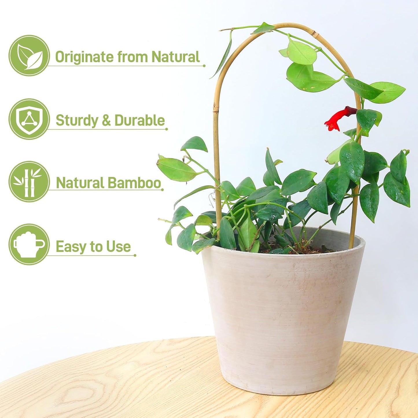 Avalution 16" Natural Bamboo Plants Trellis U-Hoop,Bamboo Gaeden Trellis U-Shape for Climbing Plant Support-10PCS