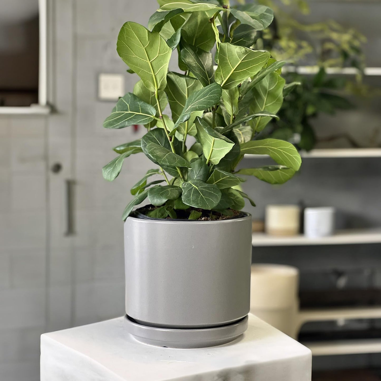 Mid Modern Planter with Detached Saucer (Heather Grey,14.0" D x 12.0" H)