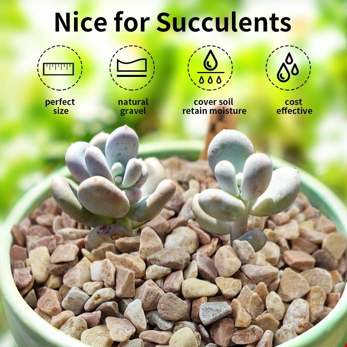 10 LB Natural Pea Gravel Small Pebbles - 3/8 Inch Decorative Pebbles for Indoor Plants,Terrarium Rocks, Outdoor Decorative Rocks, Vase, Succulent Rocks, Aquarium Gravel and Landscaping Rocks