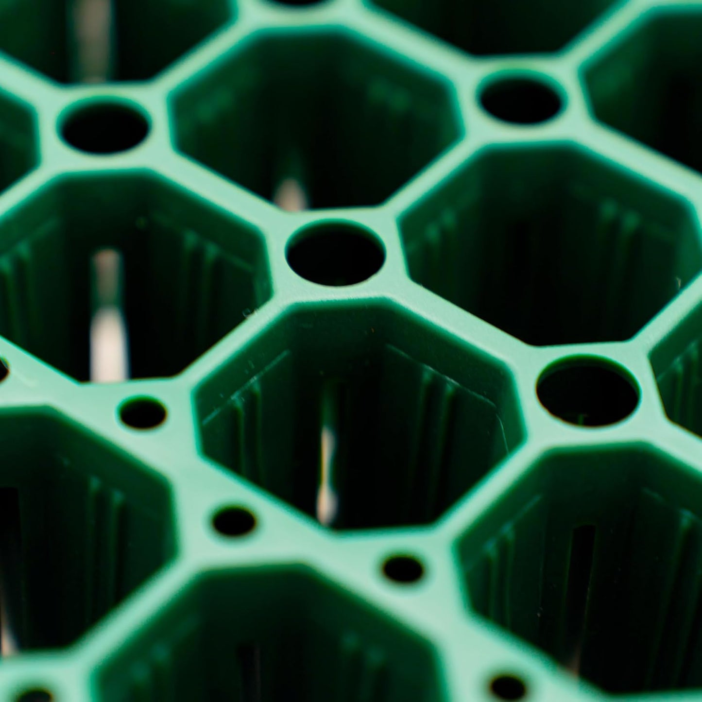 Vego garden 10" x 20" 76 Cells Seed Starter Tray Stackable Seedling Starting Germination Trays for Plants Planting Vegetables Herbs Flowers