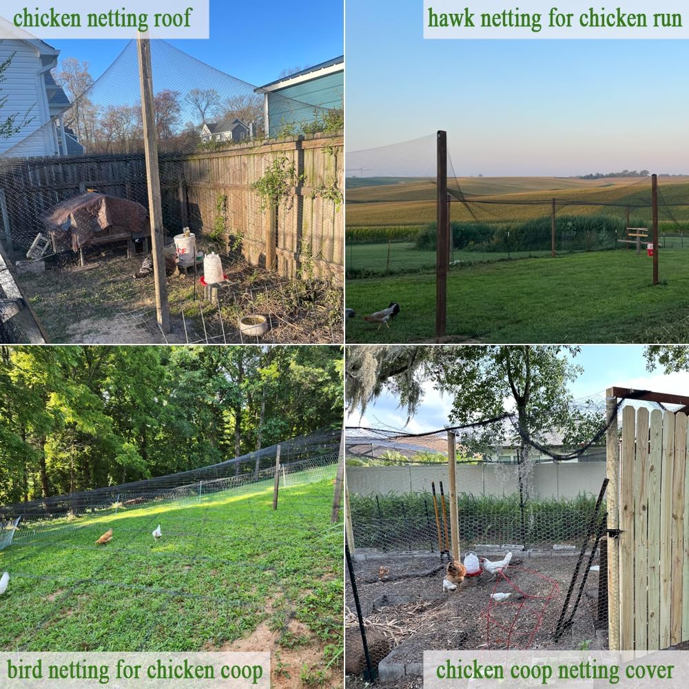 Bird Netting for Chicken Coop 25x100 Ft, 1" Mesh, Strong Woven Poultry Netting Roof Cover for Chicken Run, Heavy Duty Bird Net for Fruit Trees, Blueberry, Vegetables, Garden Protection