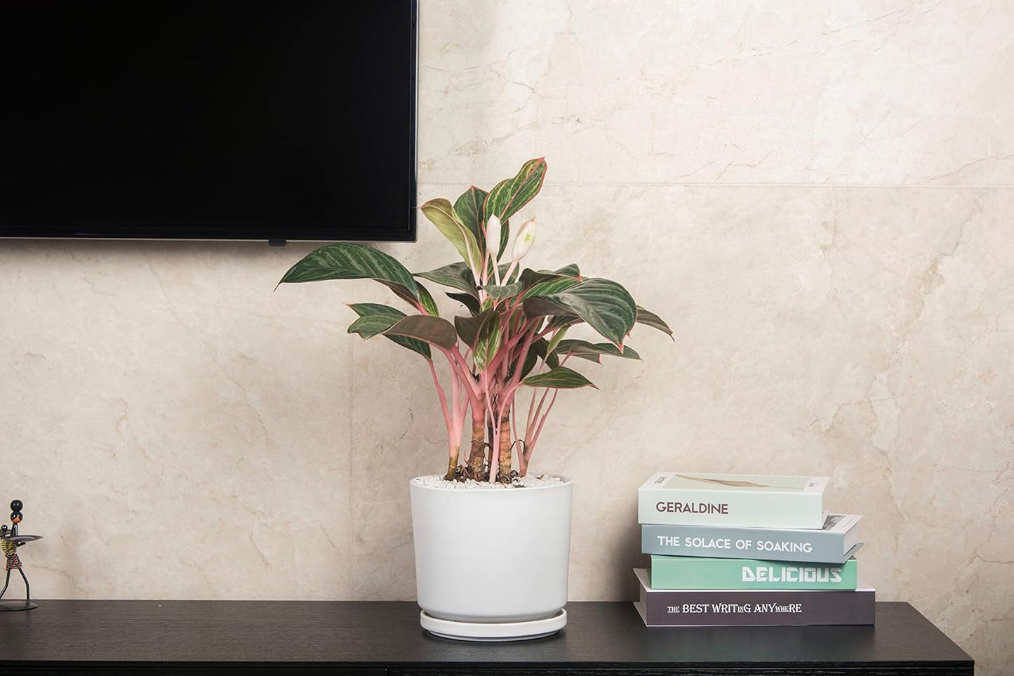 Ekirlin 9 inch Plant Pots,Ceramic Flower Planters Indoor,Modern Succulents Containers with Drain Hole Saucer,Decorate Home,Office & Outdoor (White)