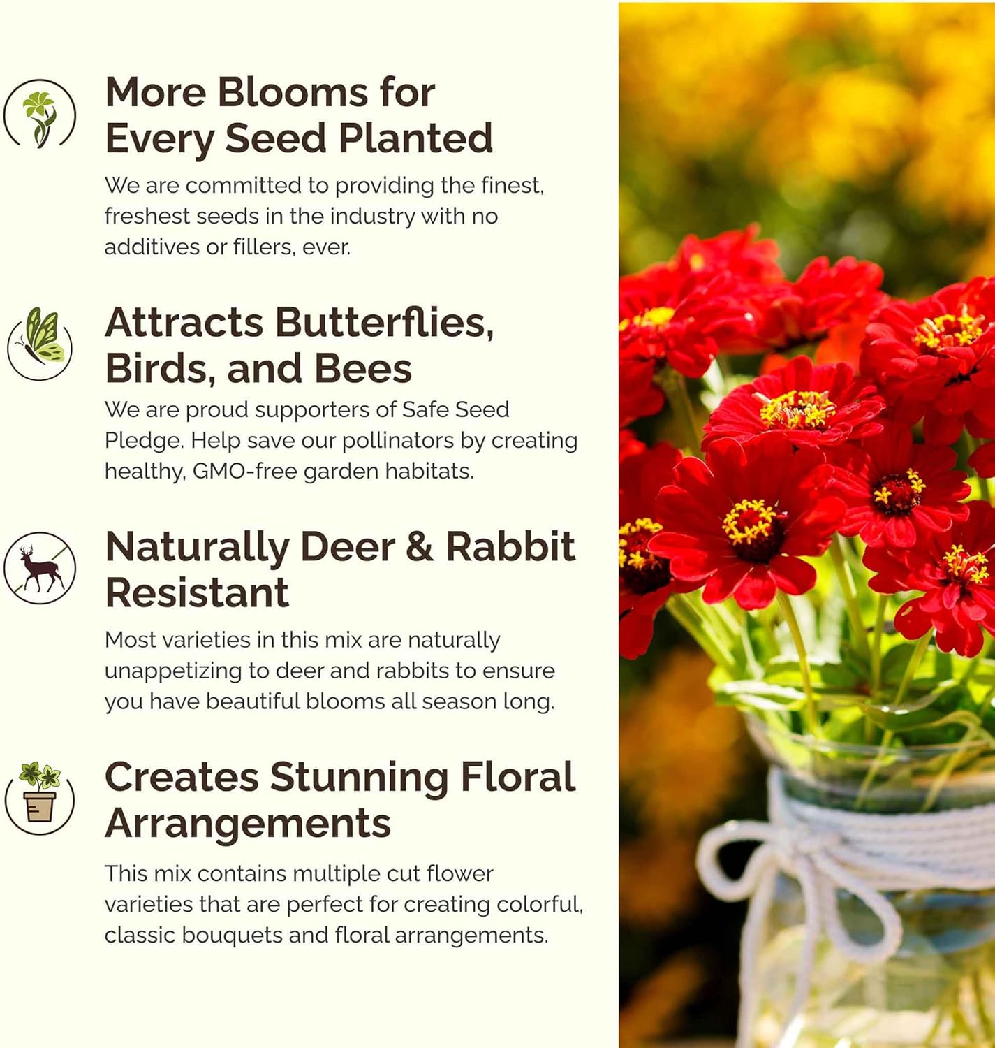 Eden Brothers Fiery Flower Mixed Seeds for Planting, 1 lb, 480,000+ Seeds with Zinnia Scarlet Flame, Plains Coreopsis | Attracts Pollinators, Plant in Spring or Fall, Zones 3, 4, 5, 6, 7, 8, 9, 10