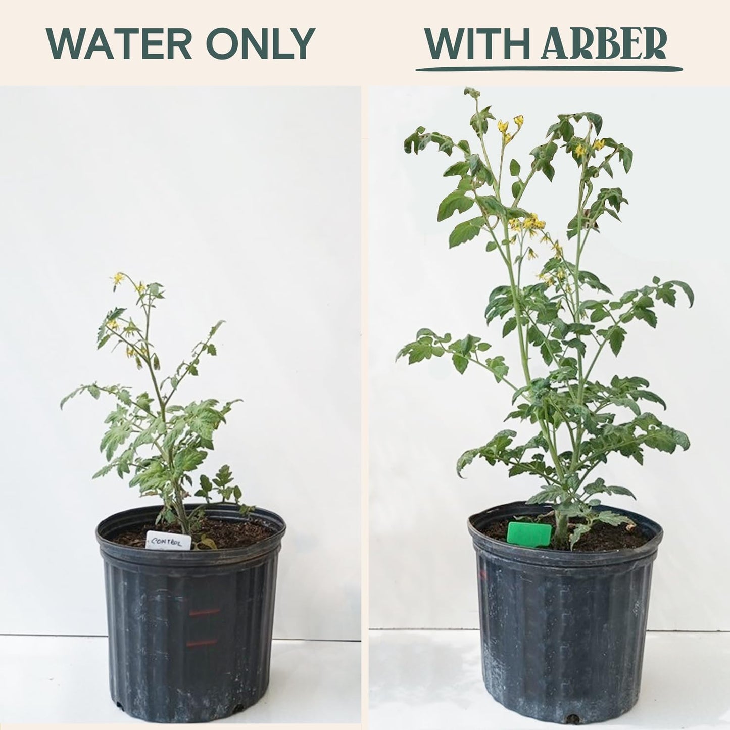 Organic Plant Food – Liquid Fertilizer for Indoor & Outdoor Plants, Nutrient-Rich Formula for Growth & Protection, Houseplant & Garden Fertilizer, Liquid Concentrate for Healthy Foliage & Strong Roots