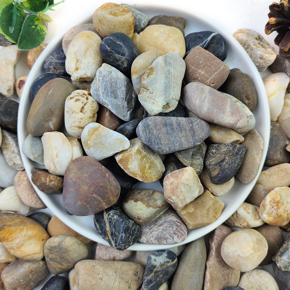 2lbs Aquarium Rocks, 5/8" Natural Mixed Pebbles for Plants Decorative Polished River Rocks for Fish Tank, Landscaping, Gardening, Flower Pots, Vase Fillers, Indoor Water Fountains,