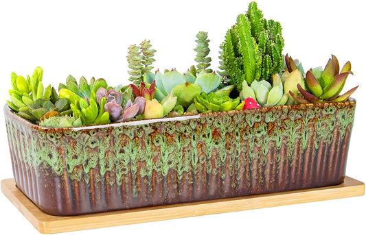 Succulent Pots - 12 Inch Large Succulent Planters with Drainage Tray, Window Sill Planter, Long Rectangle Ceramic Pots for Indoor Cactus Plants Shallow Bonsai Window Box for Home Garden Decor