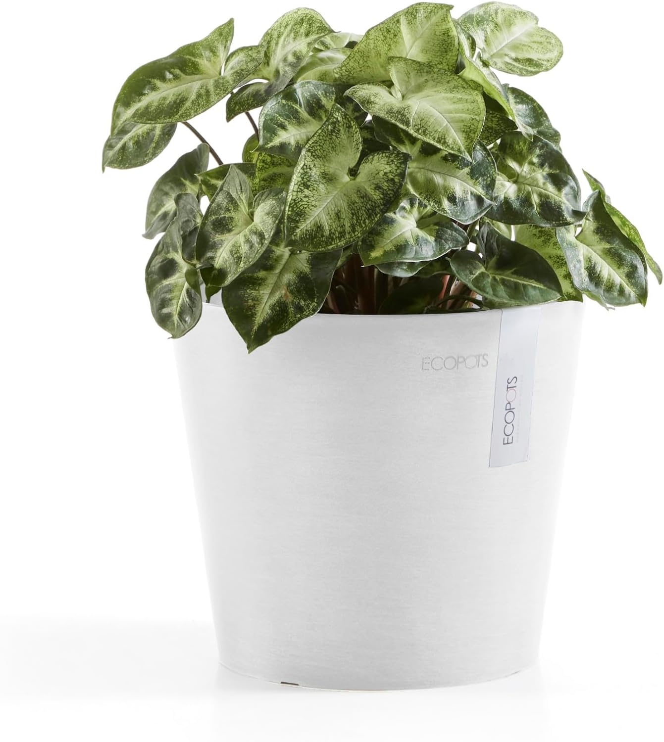 Ecopots Amsterdam Mini Durable Modern Round Recycled-Based Composite Flower Pot Planter, Pure White, 7"