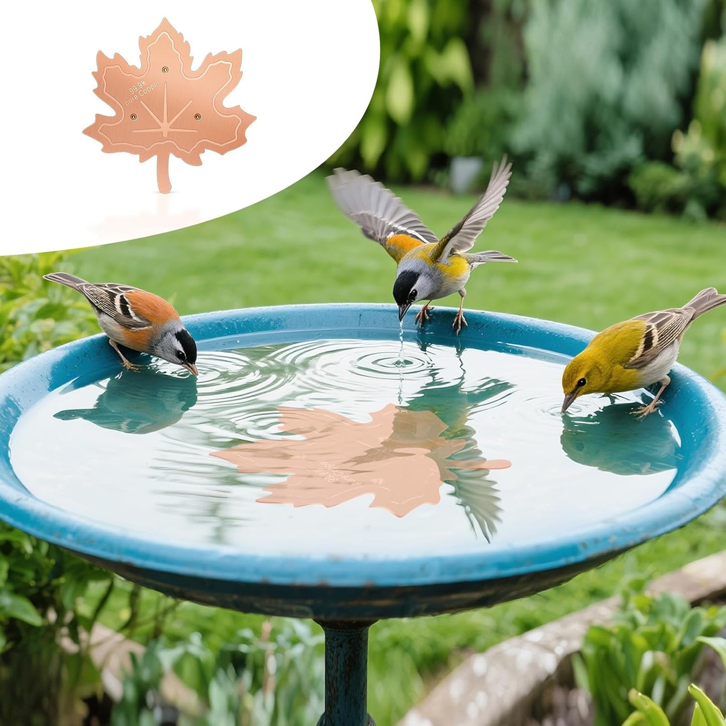 99.99% Pure Copper Bird Bath Disk, 0.6mm Maple Leaf Bird Bath Purification Disk with Triple-Point Support for Physical Safe Clean Water All-Season, Universal Fit for Outdoor Birdbaths, Bowl