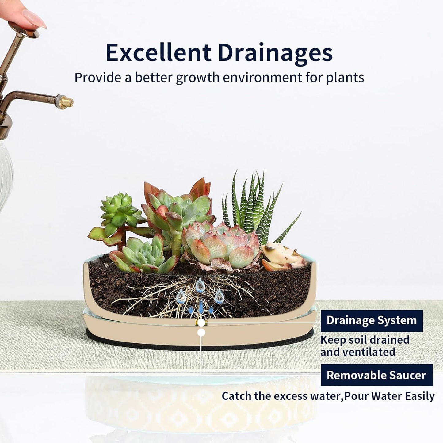 Selamica Ceramic Succulent Pots, 6 Inch Shallow Succulent Planters with Drainage Hole & Saucer, Indoor Plant Pots for Cactus, Herb, Home Decor, Set of 4, Assorted Colors