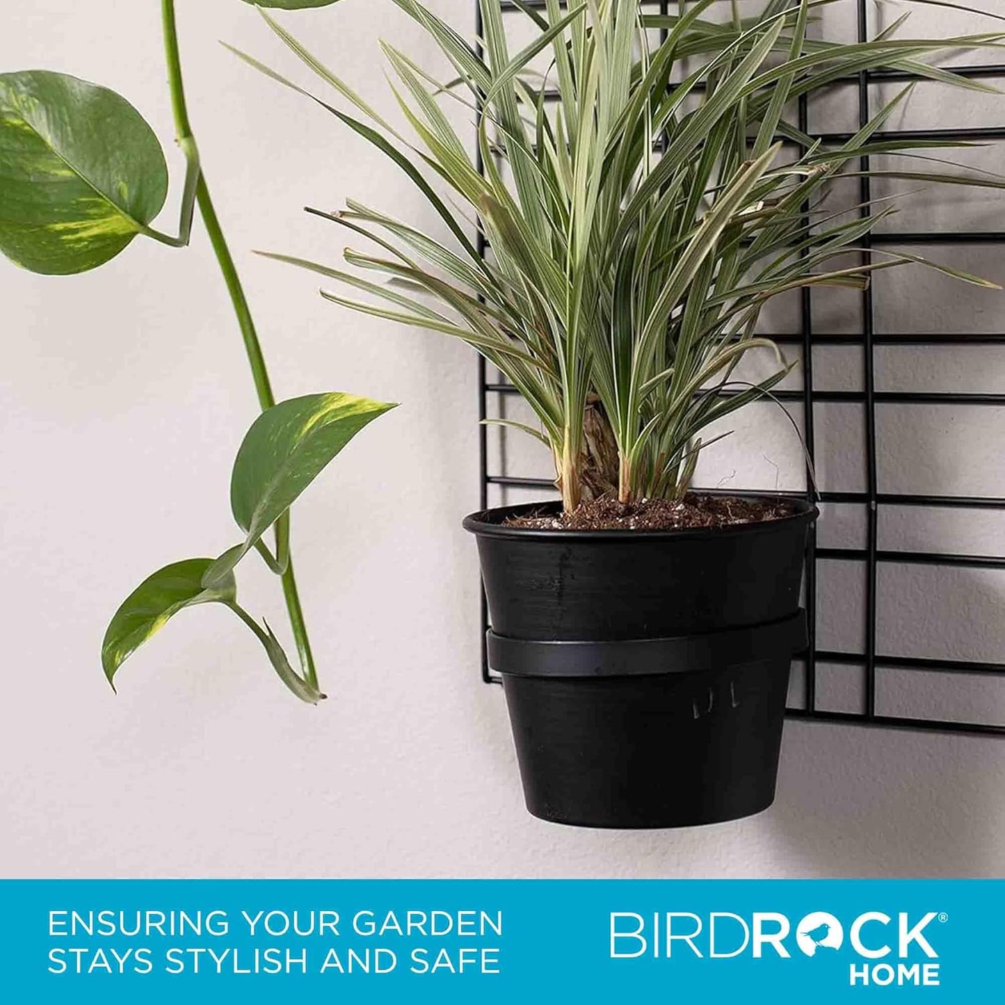 BIRDROCK HOME 6 Pot Garden Wall Grid - Flower or Succulent Planter Pots - Indoor or Outdoor Plant Organizer Rack - Black