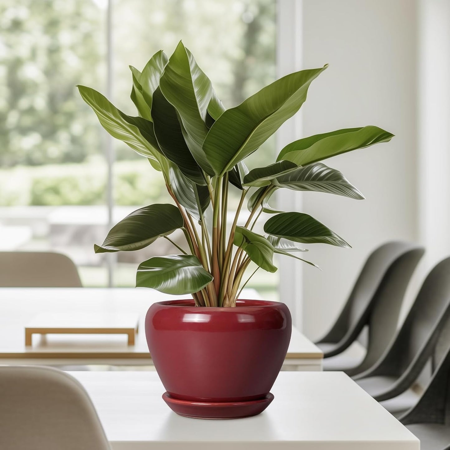 Ceramic Pot for Plants - 6 Inch Plant Pot Indoor with Drainage Hole and Saucer Succulent Outdoor Planter Round Flower Pot for House Patio Decor Red