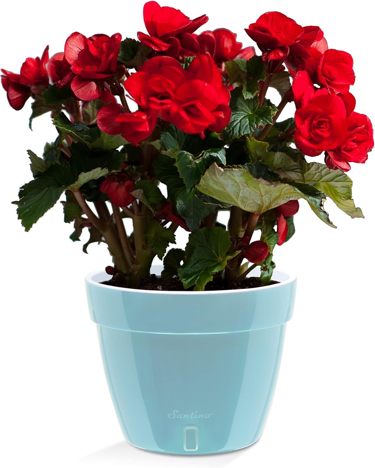 Santino ASTI 7.1 Inch Self Watering Planter Menthol/White for Indoor Plants - Premium Quality Modern Plastic Pot w/Water Level Indicator for All House Herbs, Plants, African Violets and Dahlias