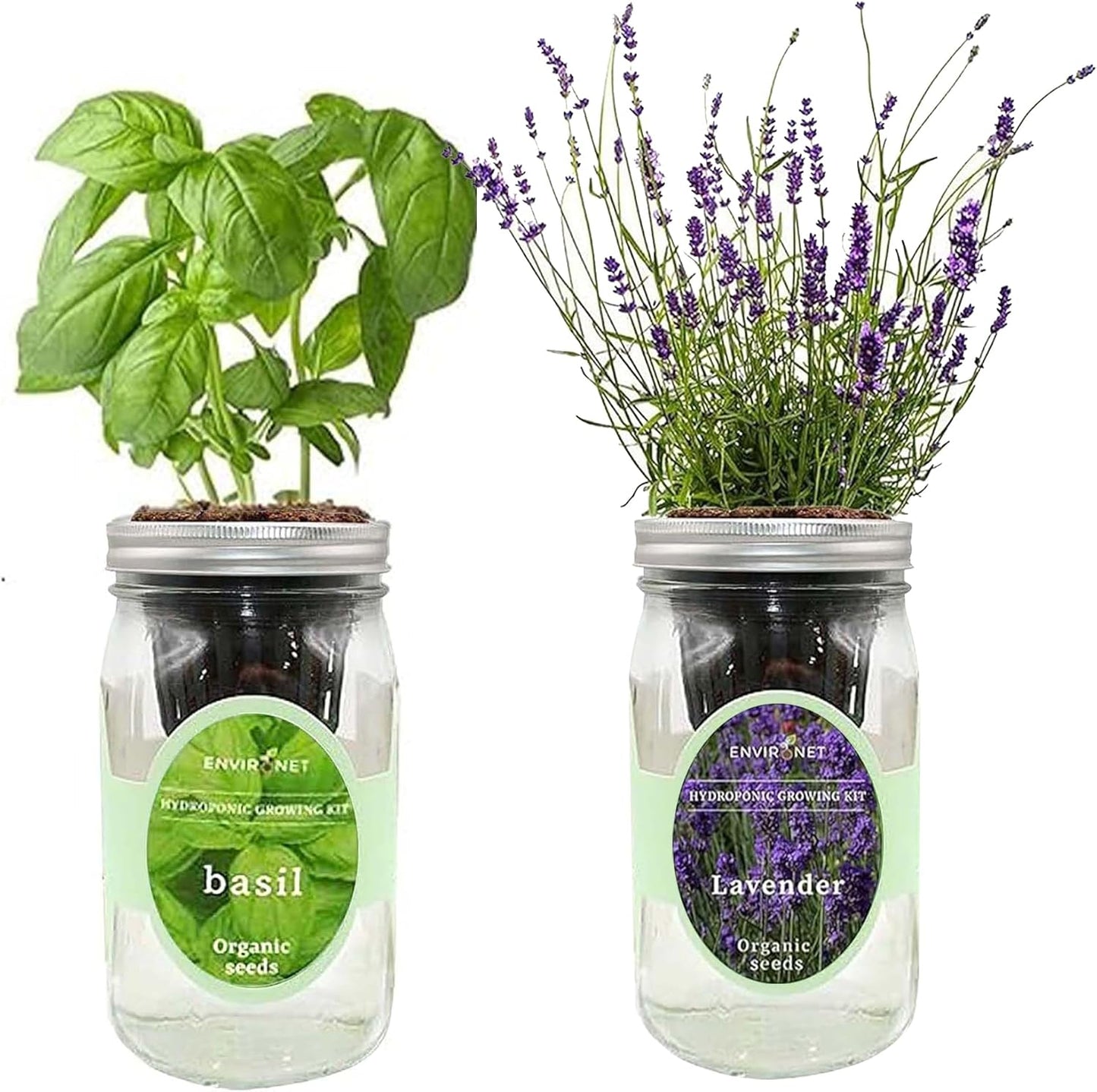 2-Pack Hydroponic Mason Jar Herb Garden Kit, Indoor Herb Garden Self-Watering Starter Kit (Basil,Lavender)