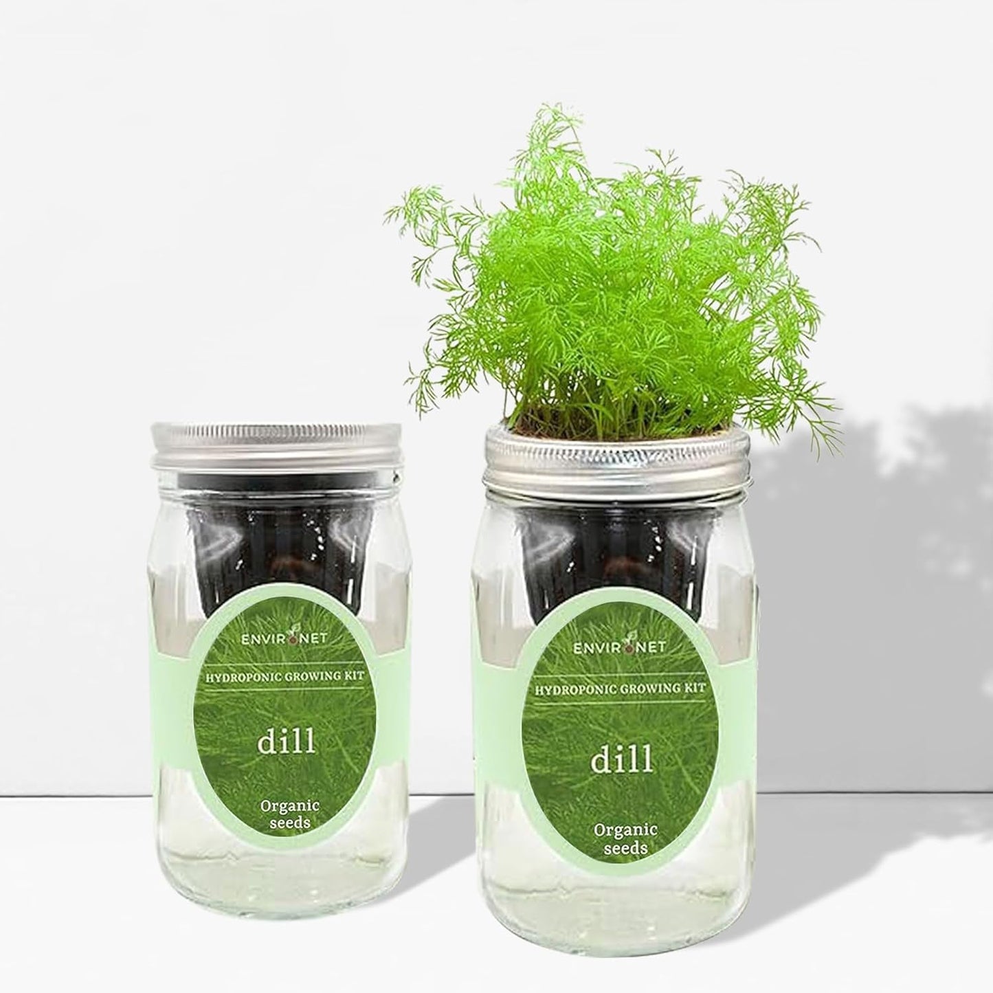 Hydroponic Herb Growing Kit, Self-Watering Mason Jar Herb Garden Starter Kit Indoor, Windowsill Herb Garden, Grow Your Own Herbs from Organic Seeds (Dill)