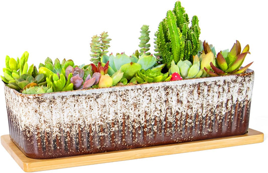 Succulent Pots - 12 Inch Large Succulent Planters with Drainage Tray, Window Sill Planter, Long Rectangle Ceramic Pots for Indoor Cactus Plants Shallow Bonsai Window Box for Home Garden Decor