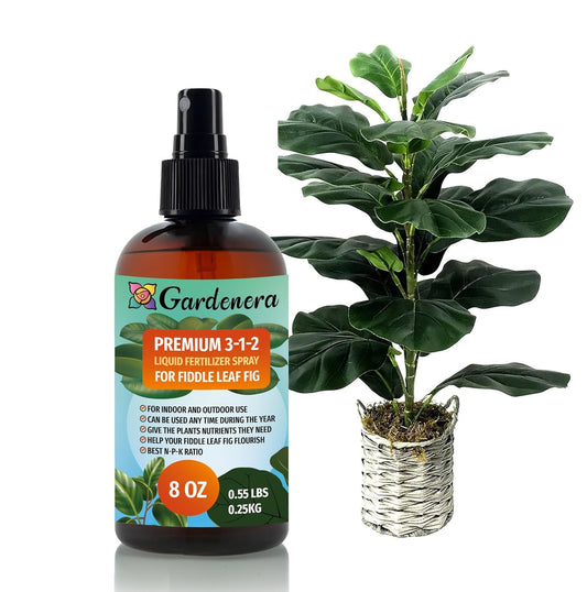 Professional Fiddle Leaf FIG Spray Fertilizer Mist for Home Gardening | 3-1-2 Gentle Blend Mist for Healthy Leaves & Growth | Essential Nutrients for Fiddle Leaf Figs - 8oz