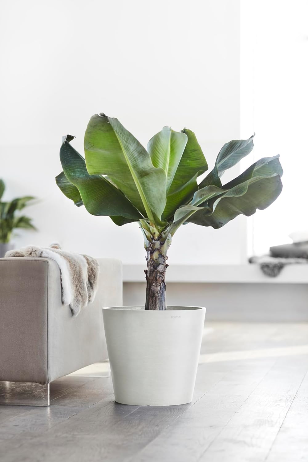 Ecopots Amsterdam Durable Modern Round Indoor/Outdoor Recycled-Based Composite Flower Pot Planter, Pure White, 16"