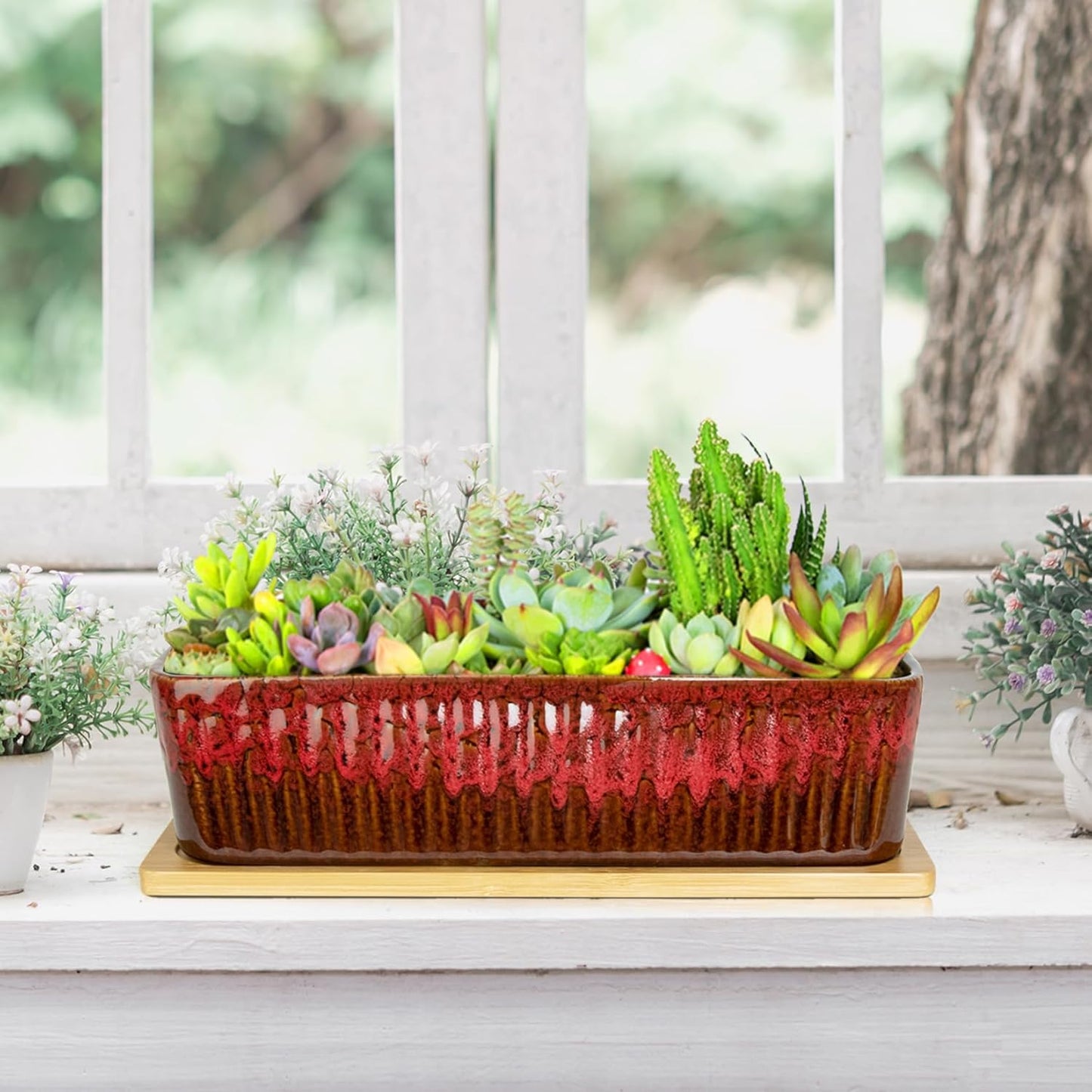 Succulent Pots - 12 Inch Large Succulent Planters with Drainage Tray, Window Sill Planter, Long Rectangle Ceramic Pots for Indoor Cactus Plants Shallow Bonsai Window Box for Home Garden Decor