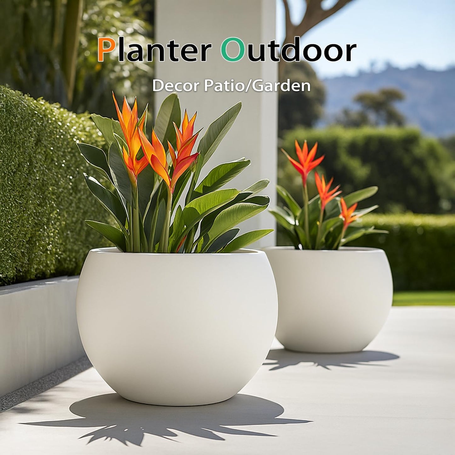 Ball Fiberstone Planter Outdoor Indoor, Large Tall Plant Pots for Front Porch, Patio, Garden (White, 20 inch)